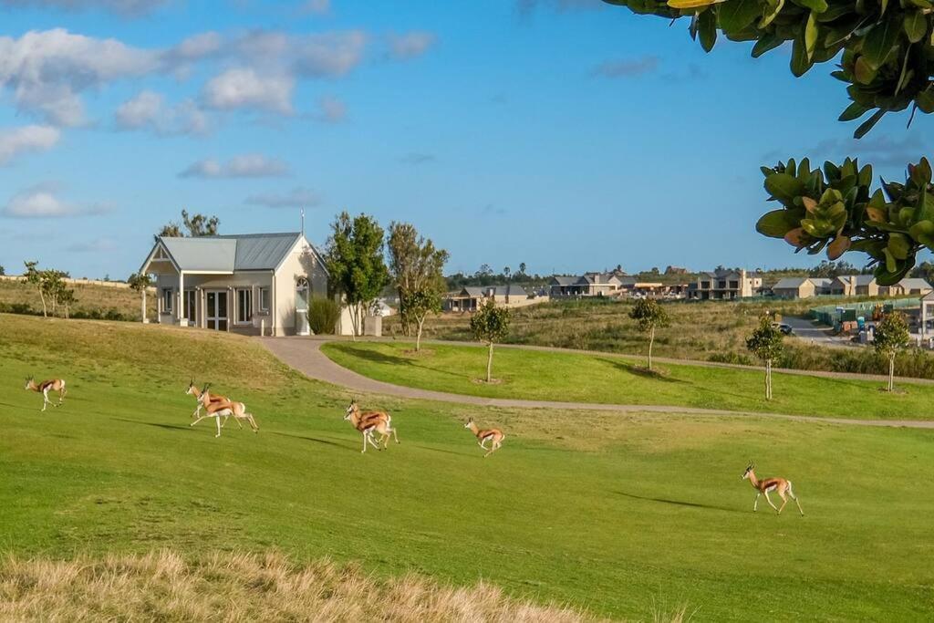 ジョージ The Halfway House @ Kingswood Golf Estateヴィラ エクステリア 写真